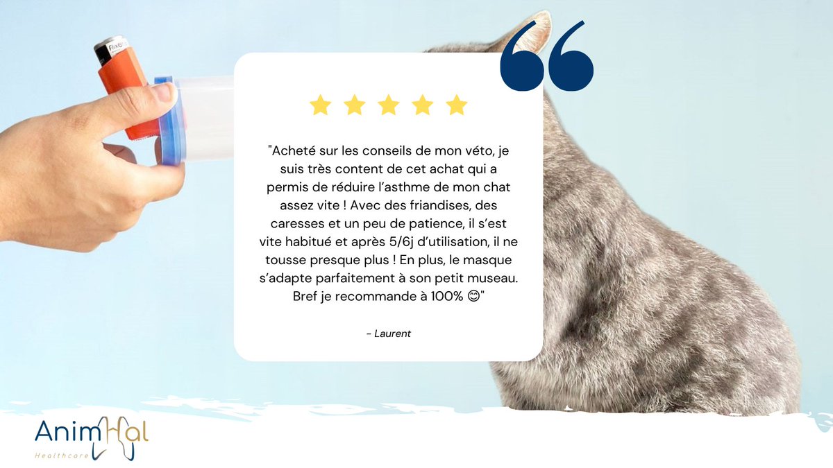 AnimHal_HC's tweet photo. ⭐[SATISFACTION CLIENT] Le bien-être de vos animaux est au cœur de nos préoccupations. 
Aujourd'hui, nous vous partageons l'avis de Laurent, qui a testé AnimHal Cat sous les conseils de son vétérinaire et qui est aujourd'hui un client convaincu avec un chat en pleine forme ! 🐱 https://t.co/alT5LWWtve