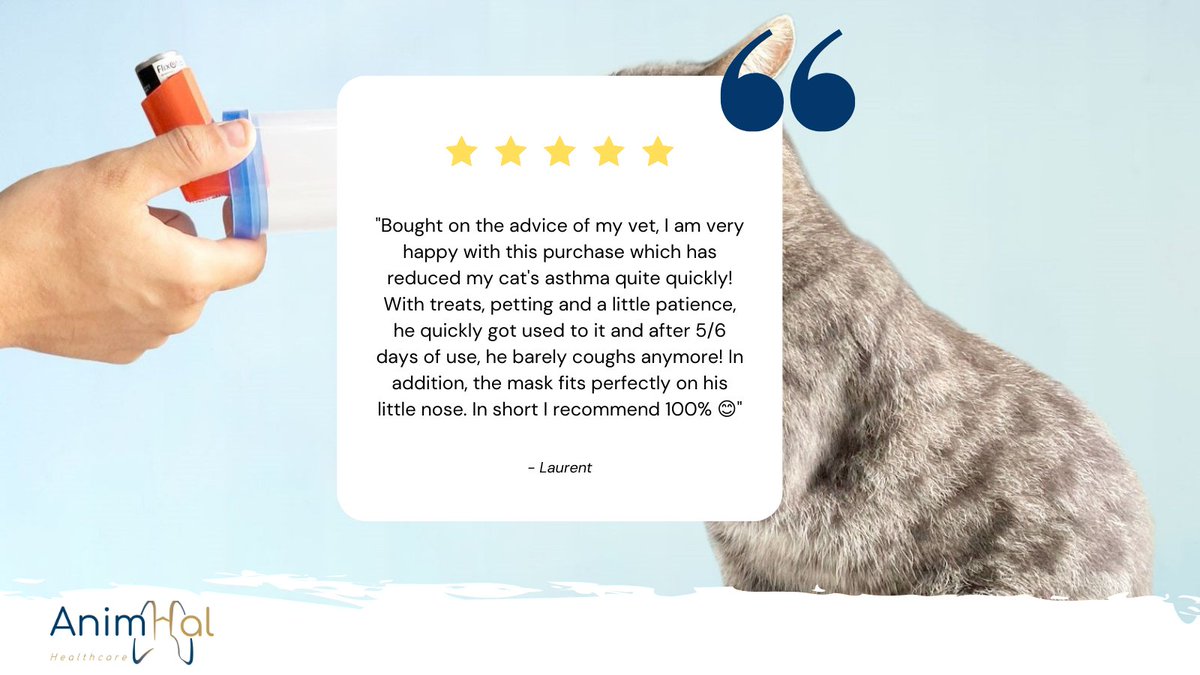 AnimHal_HC's tweet photo. ⭐[SATISFACTION CLIENT] Le bien-être de vos animaux est au cœur de nos préoccupations. 
Aujourd'hui, nous vous partageons l'avis de Laurent, qui a testé AnimHal Cat sous les conseils de son vétérinaire et qui est aujourd'hui un client convaincu avec un chat en pleine forme ! 🐱 https://t.co/alT5LWWtve