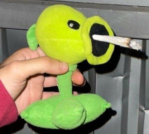 Ah hell nah, Peashooter smoking a fat dart. 💀💀💀