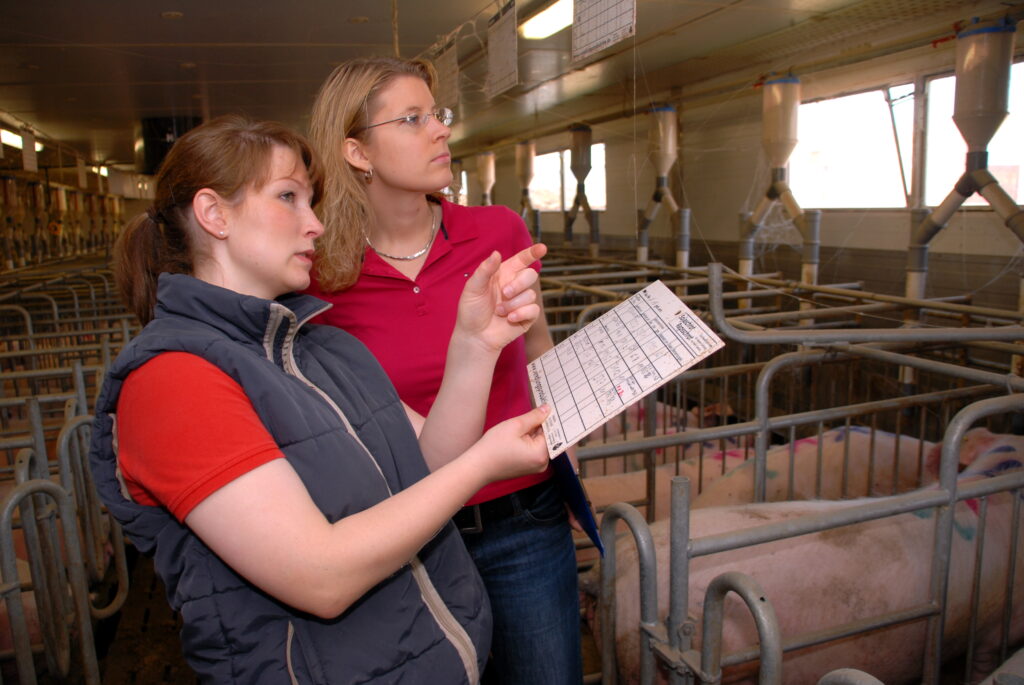 Landvolk's tweet photo. Schweinehalter blicken in weiter ungewisse Zukunft
(L P D) – „Es ist schon eine ganz besondere Zeit … #5xD #Afrikanische Schweinepest #Enno Garbade > https://t.co/LxjA5q7mGZ https://t.co/8AcNUuXbF6