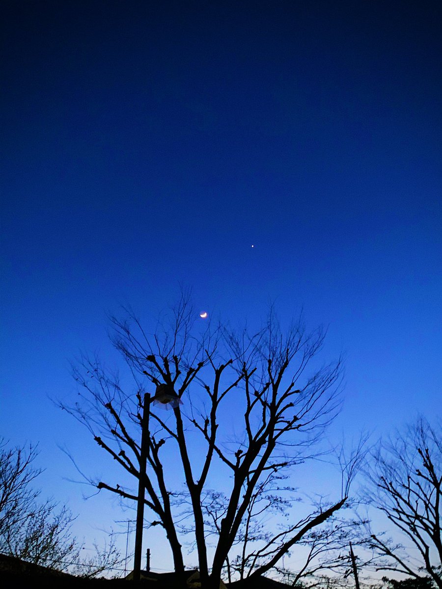 ApKBe6nhJFjiE8s's tweet photo. お疲れ様です♪(*´ω`*)ﾉ✨
陽が落ちたらちょっと寒くなってきましたね🍃19時までもうひと仕事頑張ります🔥皆さん今週もよろしくお願いします♪🥰☘️💕🌈✨
#イマソラ #空が好き
#マジックアワー #夕空 
#キリトリセカイ #夕暮れ 
#写真好きな人と繋がりたい
#iPhone越の私の世界 https://t.co/hajbNsw5nA