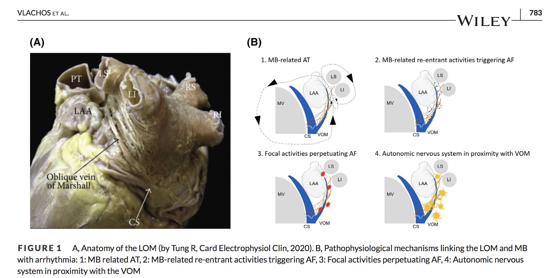 Take Ktmr Take Ktmr Twitter