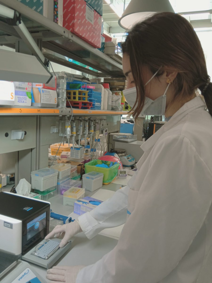 HUTER establishes the Data set of ~1 mil scRNAseq for endometrium cells at reproductive age to assess variability among individuals.
All information at: bit.ly/35vB6Er 

#EU_HaDEA #HUTER #H2020 #HCA #igenomix #incliva_iis #uppsalauni #uniofeastanglia #bahiasoftware