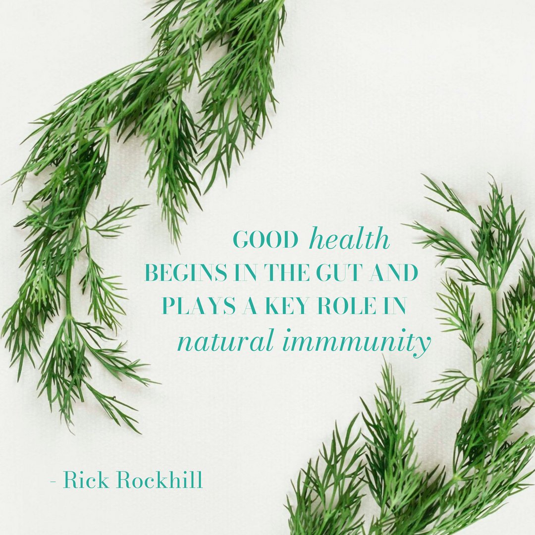 kofemi's tweet photo. Our immune system has taken a toll these past few years. That's why it's imperative to take good care of your gut which in turn improves your immune system. 

How are you boosting your immune system this Season? https://t.co/8xy3gNDrCO