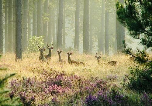 BIBLlOS's tweet image. — a chilly morning walk, to get him ready for a busy week.