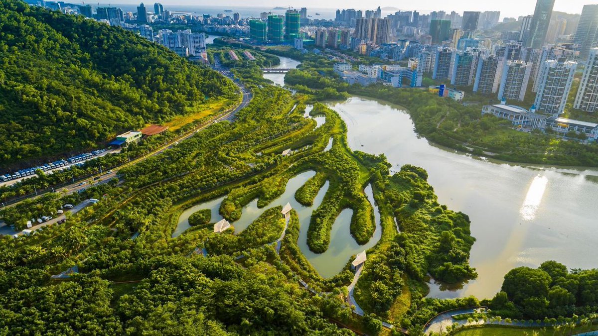 climateaidil's tweet photo. the floods in KL demand malaysia to reshape how we should sustainably plan our cities.

sponge cities help with flood mitigation. wetlands systems not only retain rainwater but they can also protect urban biodiversity &amp; create access to green spaces. nature is our greatest ally. https://t.co/HpyIcsSqrt