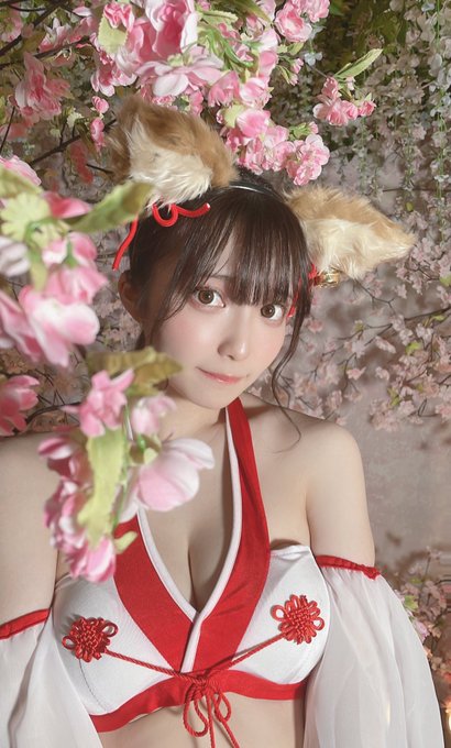 コスプレイヤー星夏のTwitter画像3