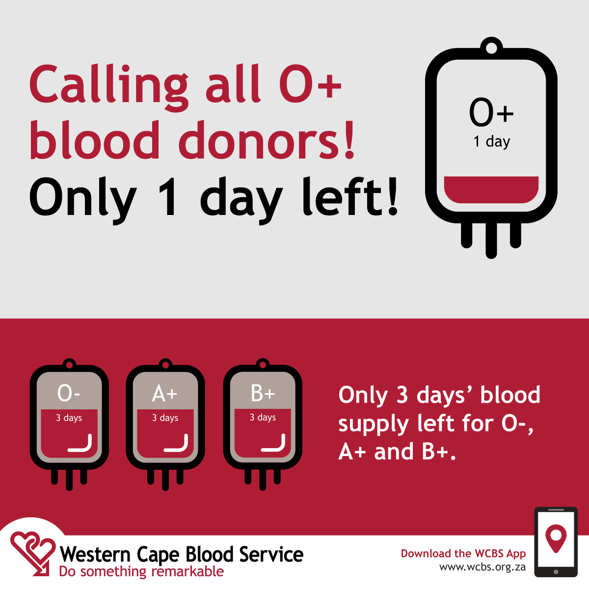The_WCBS's tweet photo. We need O+ blood types to urgently donate blood. The #WesternCape only has enough blood stock for O+ for 1 day. Find your closest blood donation venue on our app or website: https://t.co/mHzipJC7qc #WesternCapeBloodShortage #thewcbs https://t.co/dq6SwdSdaD