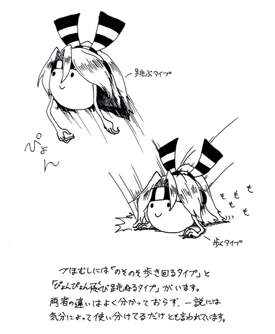 づほむしの生態レポート94 #づほむし 