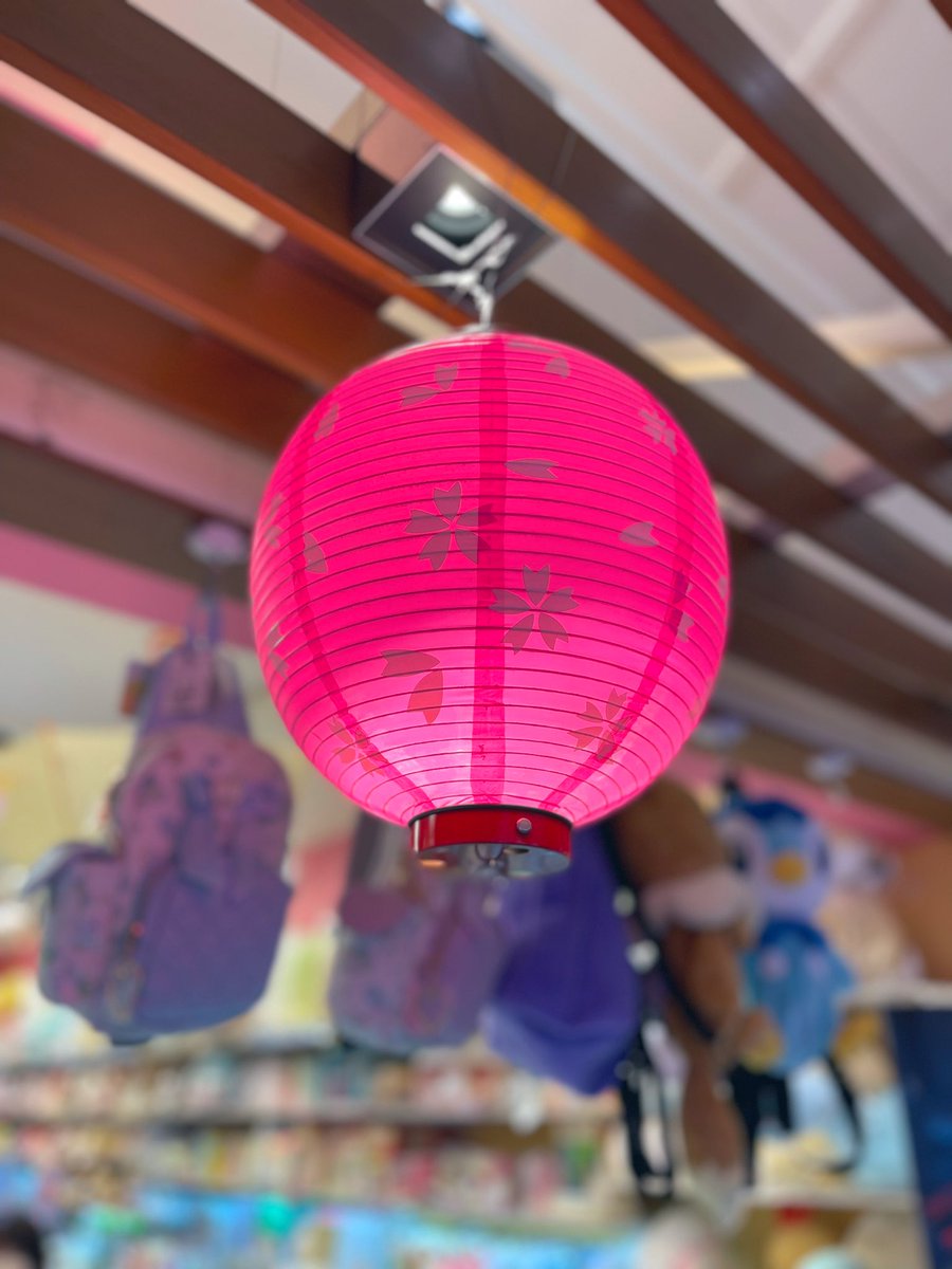 tokyovisite's tweet photo. Tokyo est passé en mode sakura🌸 https://t.co/u58KksiOqG