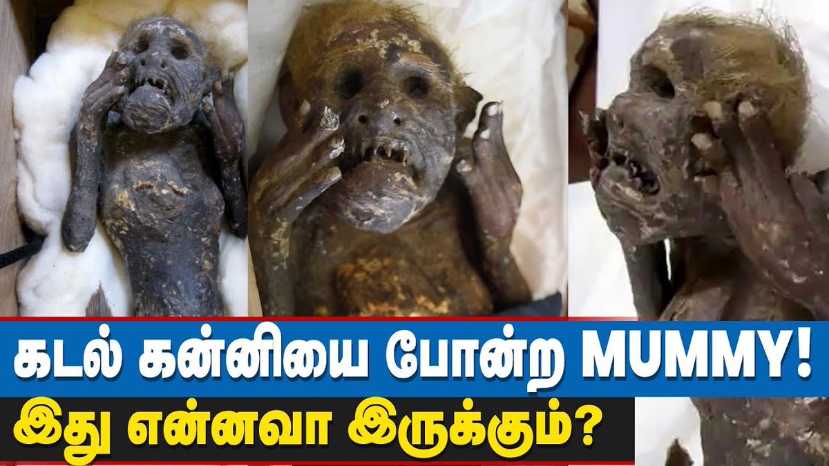 ibctamilmedia's tweet photo. 300 வருடம் பழமைவாய்ந்த MUMMY! கடல் கன்னி போன்ற தோற்றமுடையதால் வைரல்!
VIDEO LINK >> https://t.co/S1XIoyk329
#Mummy #HumanFish #Mermaid #IBCTamil https://t.co/LWcjjGyAAD