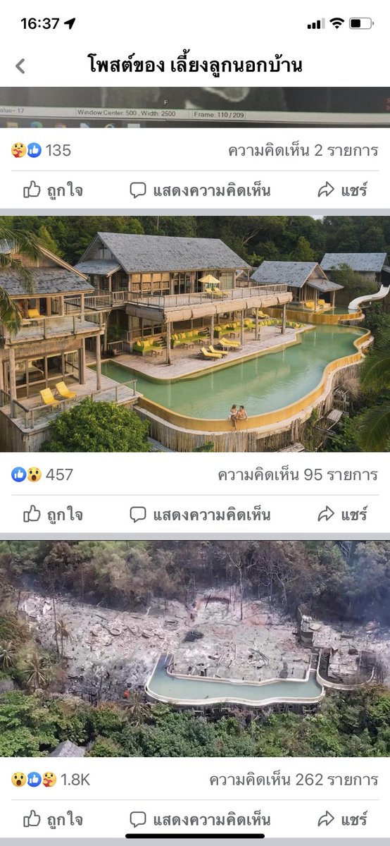 ✨พิมมี่ดาว 🍒 tweet media