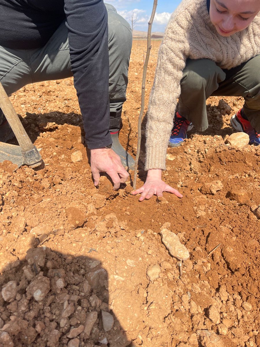 JouzourLoubnan's tweet photo. Relax. Refresh. Reconnect. This was the theme of our plantation this Saturday with @SirenAssociates @gotocme . Thank you for contributing to making Lebanon greener.
#jouzourloubnan #together_we_plant_tomorrows_forests #adoptacedar #lebanon🇱🇧 #environmentalprotection #agroforestry https://t.co/9VhMjqjUAw