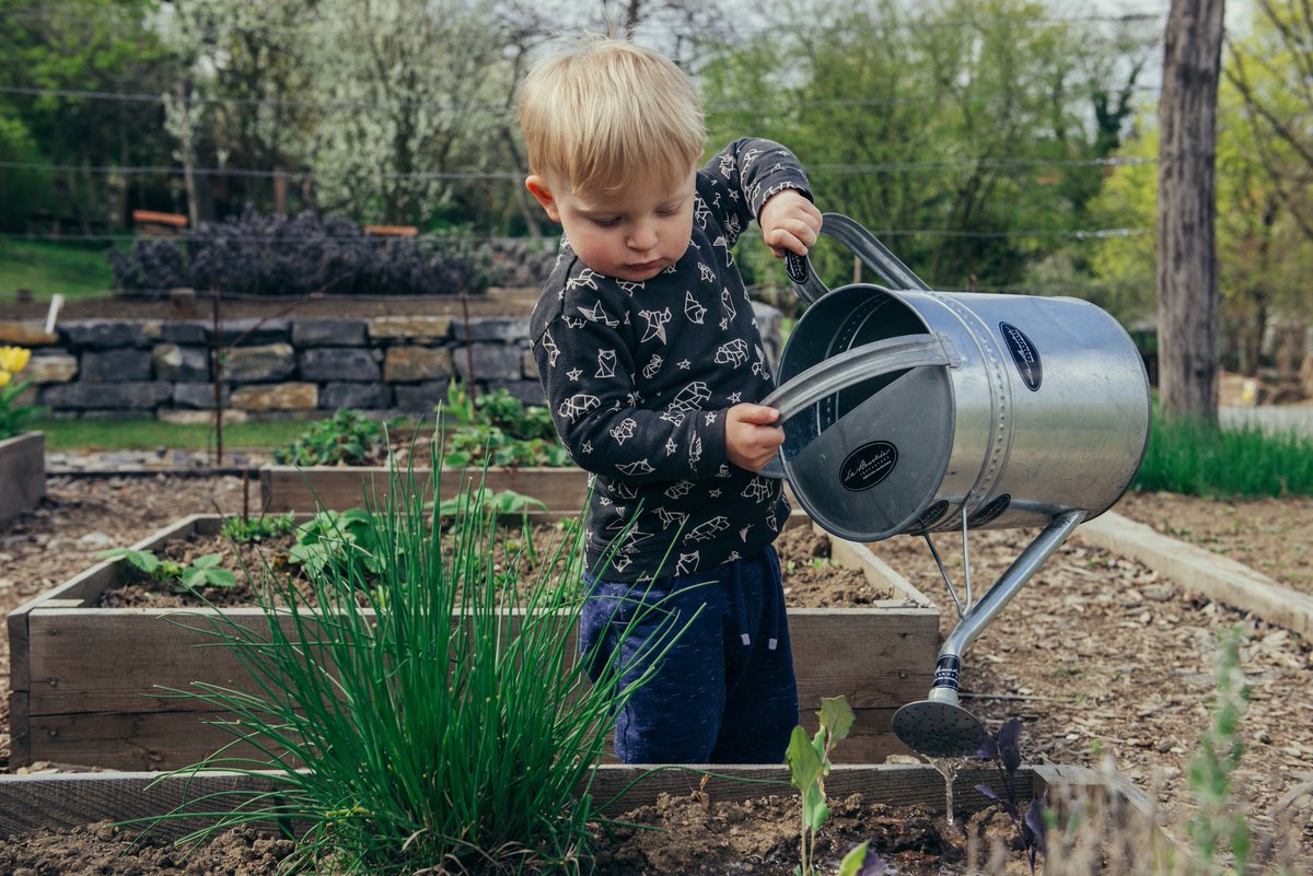 TropaverdeC's tweet photo. 🥕O máis útil que podemos aprender é producir a nosa propia comida.

Le o artigo aquí: https://t.co/KjWOyfvTO7 https://t.co/sh2vn0Dv4t
