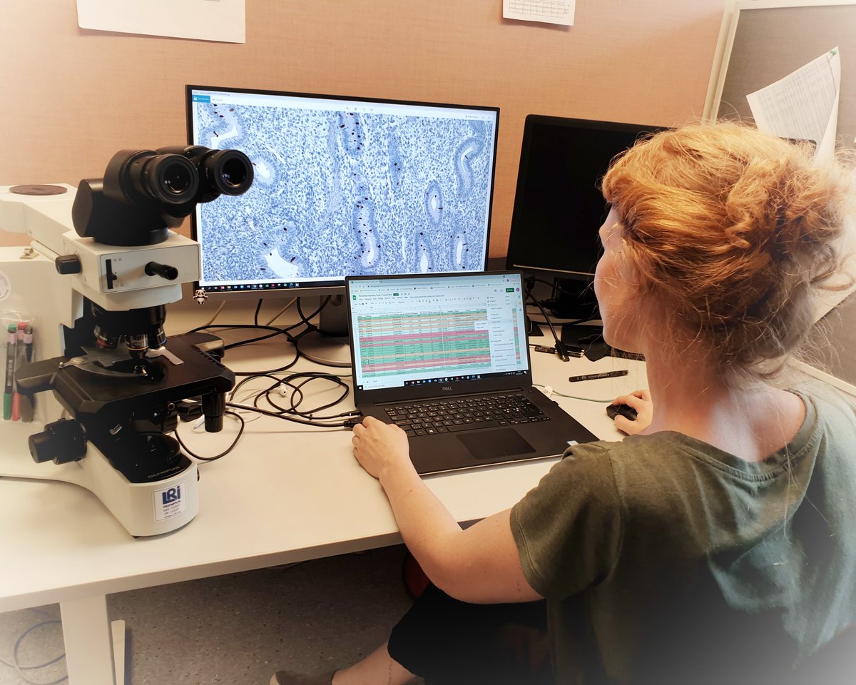 Antibody-based profiling of human uterus samples allows for single cell type-specific detection.

 #EU_HaDEA #HUTER #H2020 #research #HCA #igenomix #incliva_iis #uppsalauni #uniofeastanglia #bahiasoftware #roserventotormo #EU_H2020 #GVAsanitat  #HUTER
