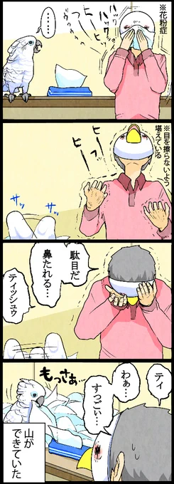 オウムとティッシュ
花粉症がなくて羨ましい限り… 