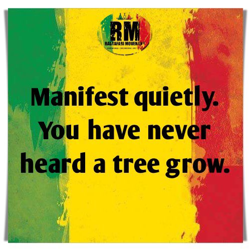 RastafariM's tweet photo. Manifest quietly. You have never heard a tree grow. https://t.co/gjHywXqhth