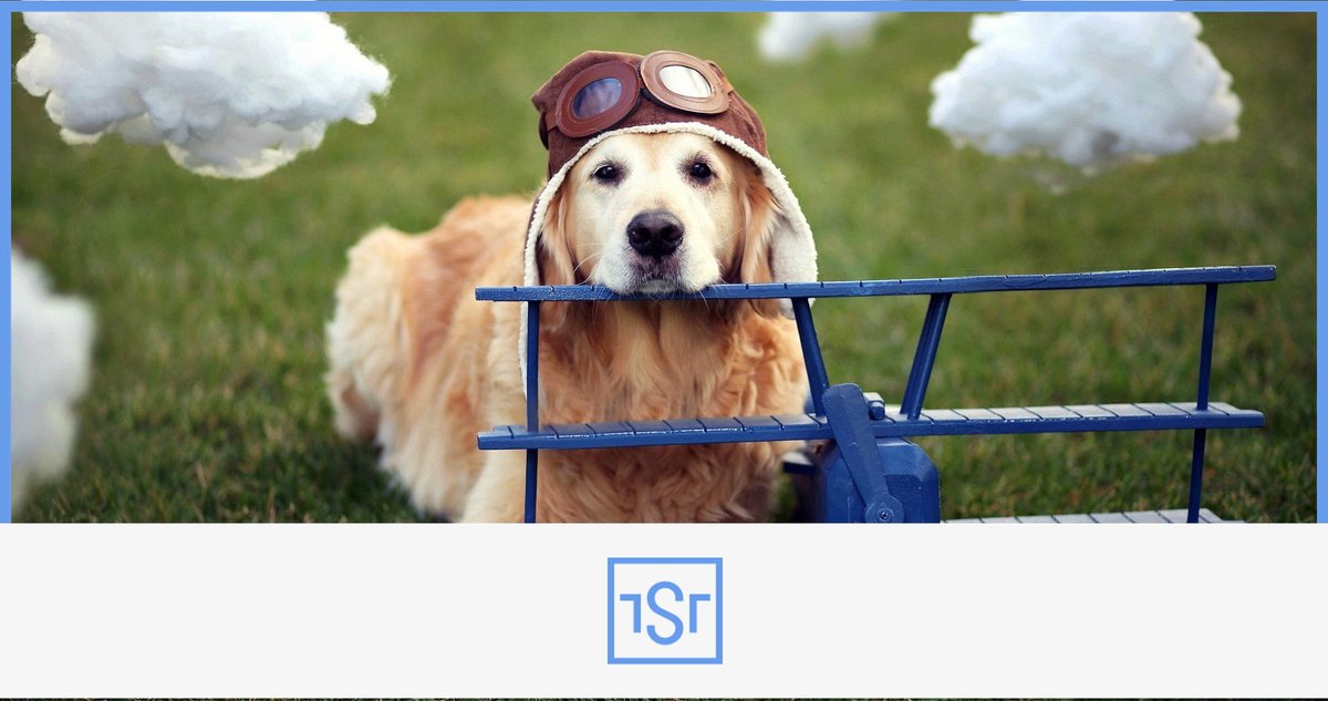 timeshare_tst's tweet photo. Как подготовить вашего любимца к полету? Для начала позаботьтесь о когтях питомца - держите их подстриженными. Это предотвратит попадание когтей животного в дверцу переноски, вентиляционные отверстия и другие щели.

#лайфхак #питомцы #когти https://t.co/YYPOOwV4Yd