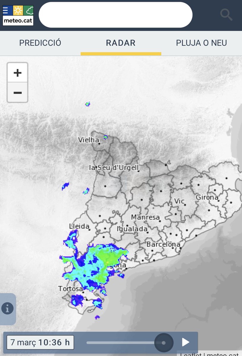 Àlex Van der Laan tweet media