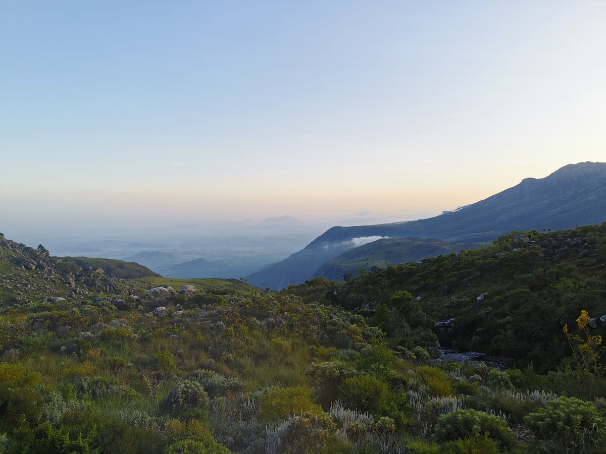 adven_withcolby's tweet image. Mount Mulanje Grand Traverse is a 5 days trek  that crosses the full length of Mulanje and touches Sapitwa which is the highest peak. 

The Mount Mulanje Grand Traverse is exceptional and definitive hike in Malawi and could be one of the best in the world. #65kmsHiking&amp;amp;Camping
