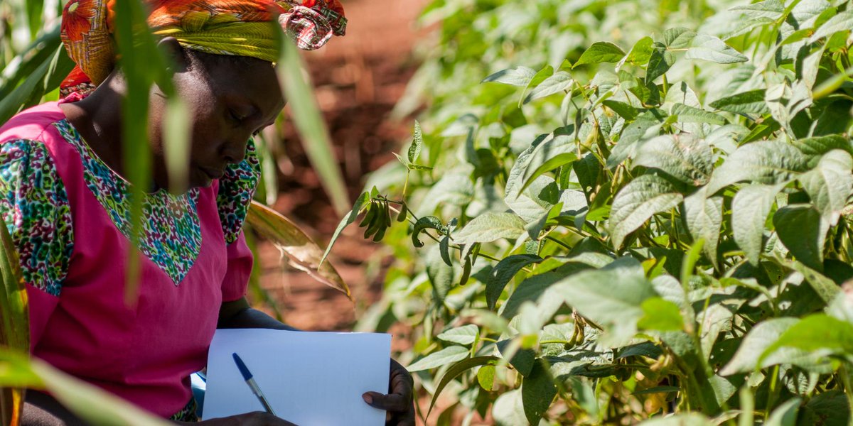 ANDAGLOBALHQ's tweet photo. At @ANDAGLOBALHQ we invest in #women because we believe in the power of unlocking their potential in building an enterprising and resilient #Africa. #SupportingWomenInBusiness
#WomensDay2022
#BreakTheBias
#WomensDay
#IWD2022 https://t.co/gR7eZ1uGN6