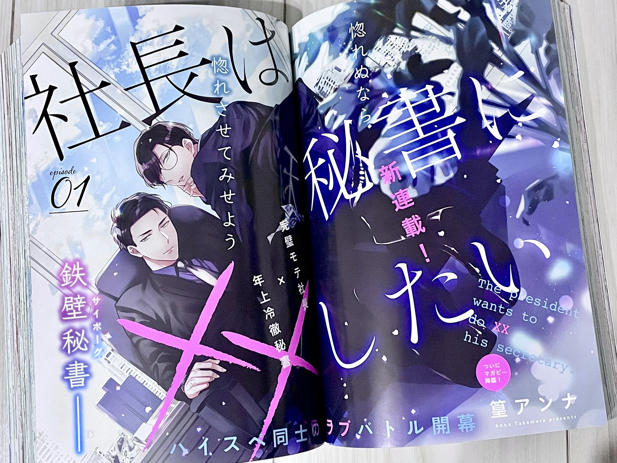 篁アンナ 社長は秘書に××したい 漫画 暗い コミック セット BL