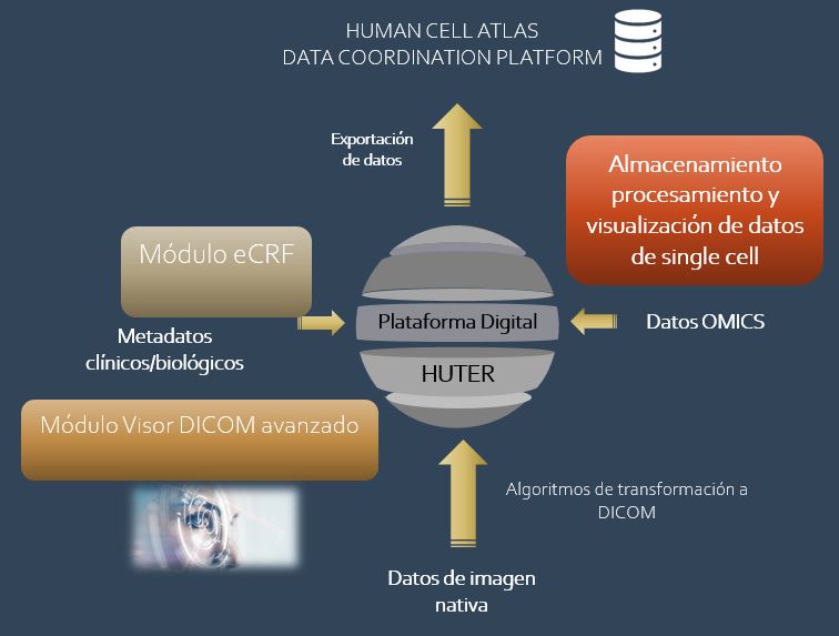 El Dr. Felip Vilella,  Investigador Principal del Grupo de Investigación Materno-Fetal de INCLIVA participará en este evento presentando el proyecto HUTER y la plataforma digital del mismo desarrollada por Bahía Software con tecnología AWS. 
Inscríbete bit.ly/3vGB1bD