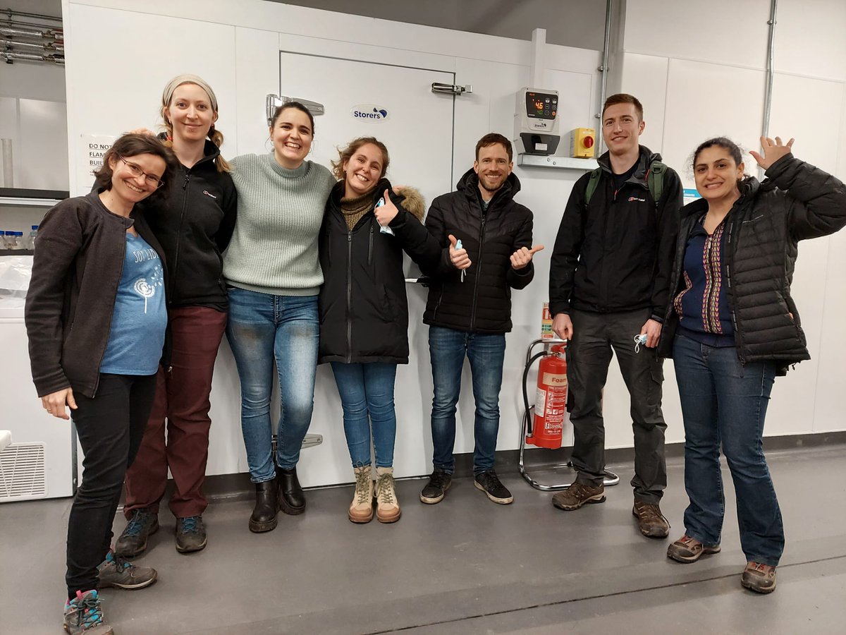 cordero_ire's tweet photo. Harvesting phase I and starting phase II of my @BBSRC Discovery fellowship experiment. Evaluating the effects of microbiomes exposed to frequent drought on plant responses to drought! Exciting times and an amazing team of collaborators!!! @SoilEcolUoM @UoM_EES https://t.co/llQvE8FeUf