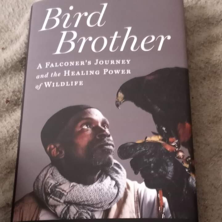 Book signing Saturday March 12th 2022 at the Monique Johnson Anacostia River Center directly across from National Stadium from 1 to 3 p.m.
#RodneysRaptors 
#DippysDream 
#BigChuck