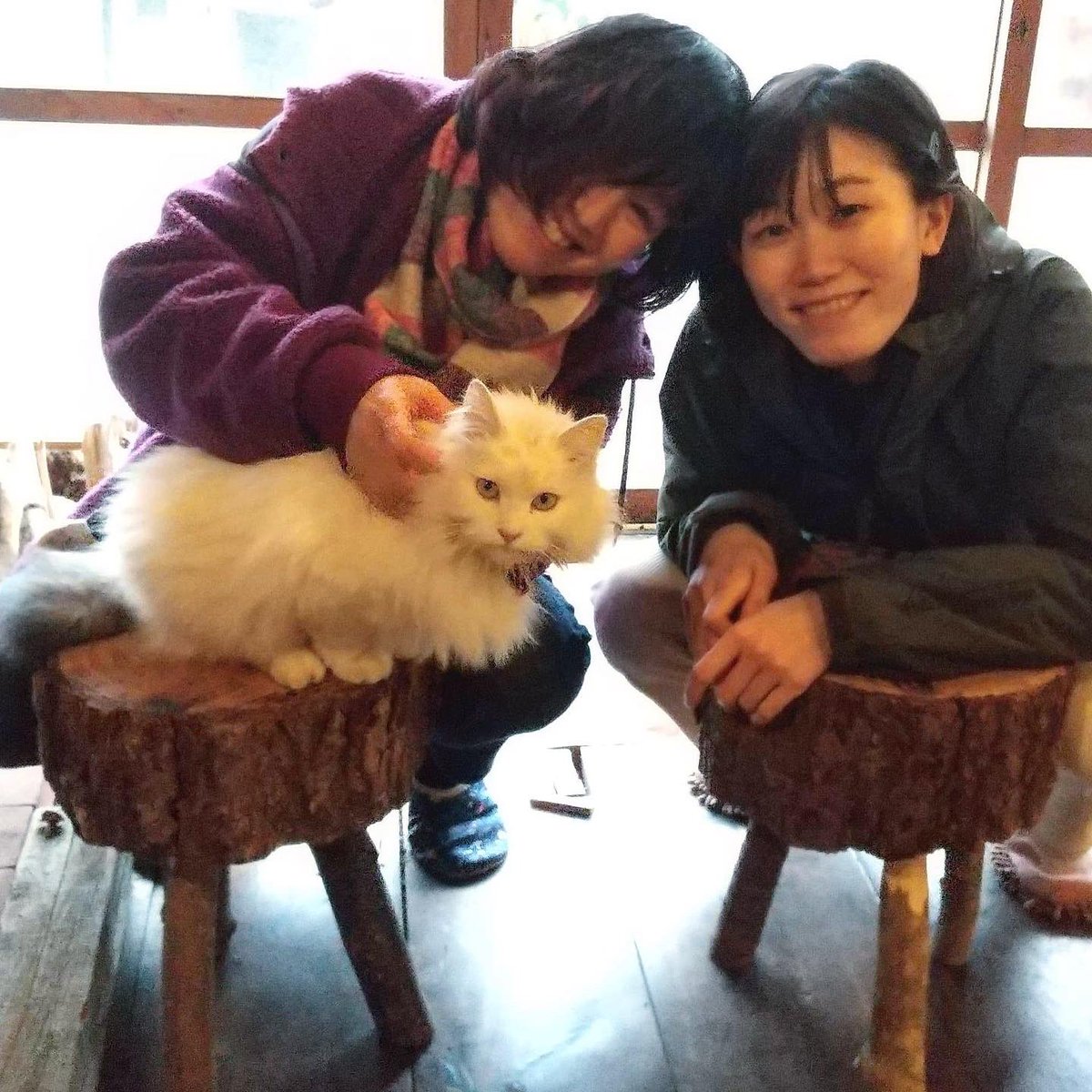 onicafe_sado's tweet photo. お店に置くスツール作りました✨
カウンターの椅子も綺麗になって…?
#おにcafe #両津港からすぐ #佐渡グルメ #佐渡カフェ #船の見えるカフェ #フェリーの見えるカフェ #onicafe
#佐渡 #sadoisland https://t.co/VUwCCYMpWU