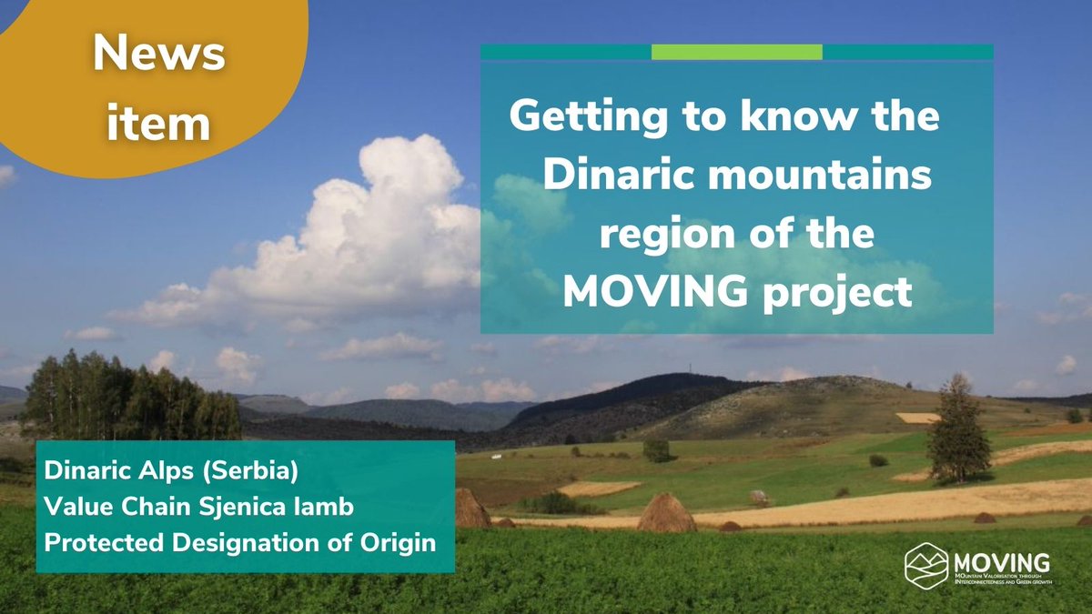 MOVINGH2020's tweet photo. 🆕 #MOVING2020 News item

🌄An opportunity to learn more about the work of the Dinaric Mountains region in Serbia

https://t.co/yEGQYTFkpA

#EUMountains #MountainsMatter https://t.co/eYuDNZadYO
