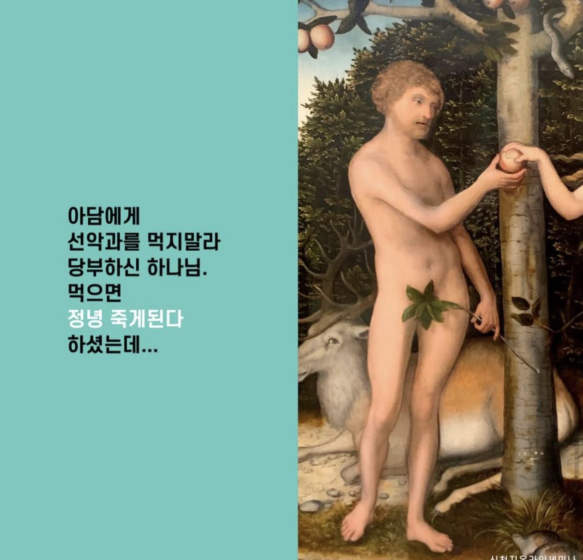 ssddmmii's tweet photo. <천국 비밀 비유와 실상 증거>

[제 18과] 비���한 죽음과 부활
​🎄https://t.co/ViDHCO3jrL
(다시보기 가능)

#마지막나팔소리 #신천지 #온라인세미나 #전세계_동시 #천국비밀_비유 #실상증거 #강의_이만희_총회장님_12지파_센터강사 #하나님안에서 #위아원 #WeAreOne_InGOD
#목회자챌린지 https://t.co/LZZis1OMMj