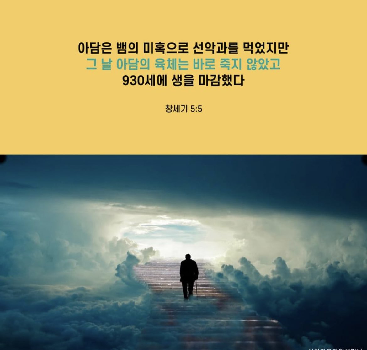 ssddmmii's tweet photo. <천국 비밀 비유와 실상 증거>

[제 18과] 비���한 죽음과 부활
​🎄https://t.co/ViDHCO3jrL
(다시보기 가능)

#마지막나팔소리 #신천지 #온라인세미나 #전세계_동시 #천국비밀_비유 #실상증거 #강의_이만희_총회장님_12지파_센터강사 #하나님안에서 #위아원 #WeAreOne_InGOD
#목회자챌린지 https://t.co/LZZis1OMMj