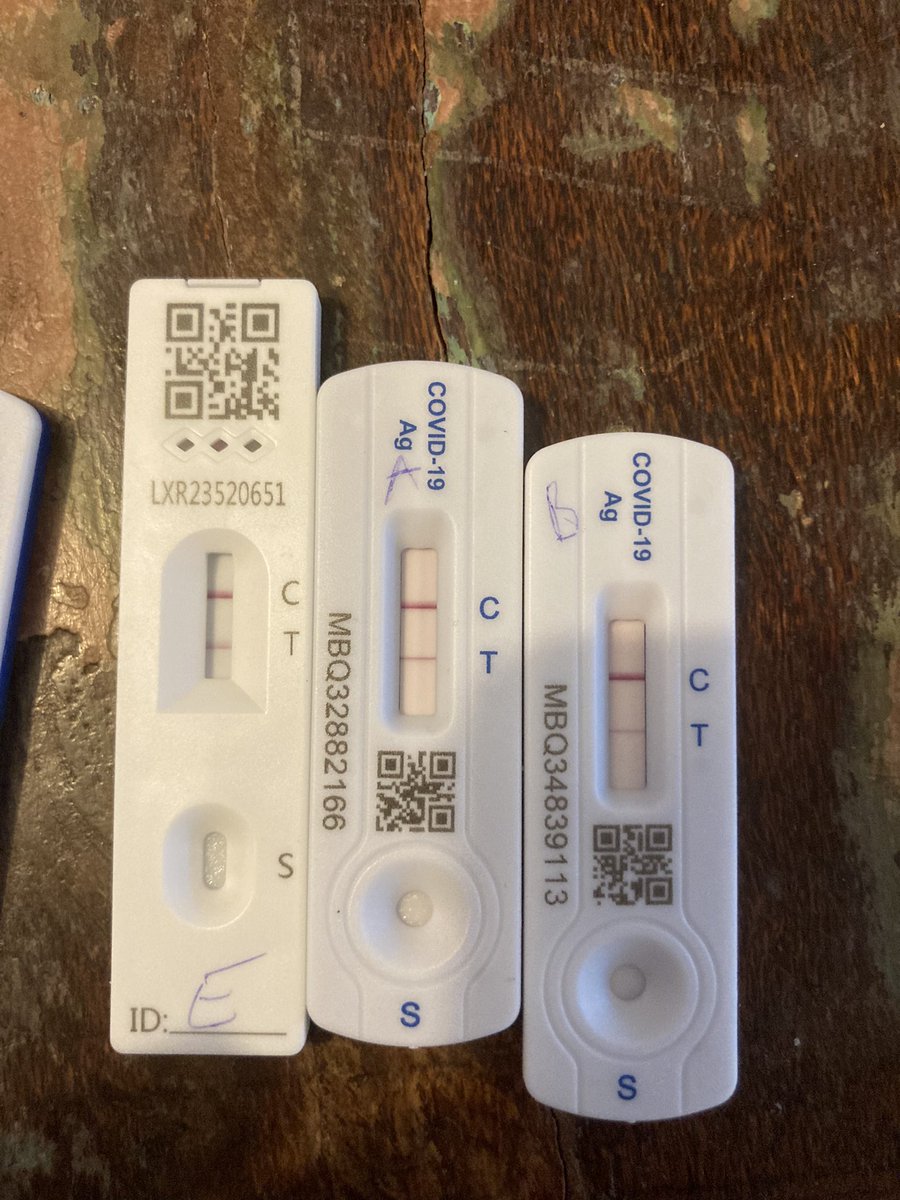 Emily Nemeth tweet media