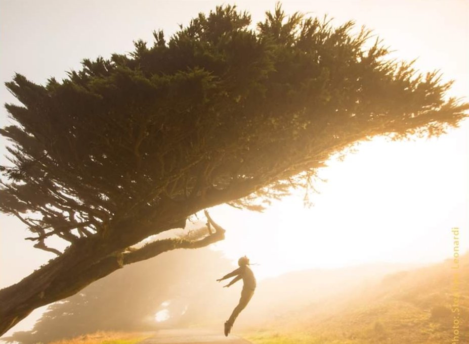 Mezarlık girişinde bizde gezerdik sizin gibi, sizde geleceksiniz bizim gibi. Yazıyor.. Adam ölmüş hala laf sokuyo.