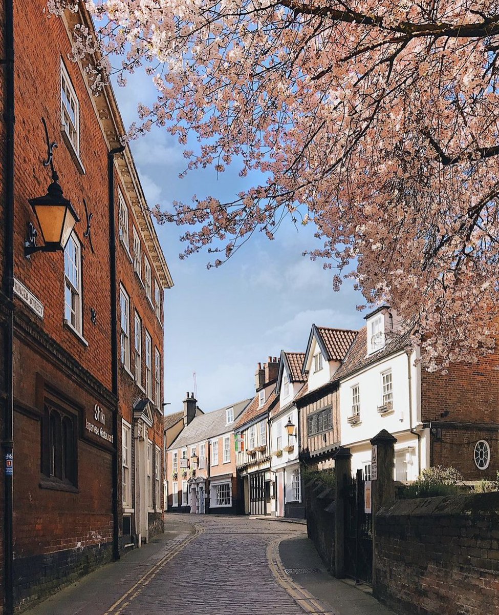 VisitNorwich's tweet photo. We can't wait to welcome spring to the City of Stories and watch the beautiful blossom brighten up our streets! 🌸

📸: julieythe1st from Instagram. https://t.co/GloNxul9jd
