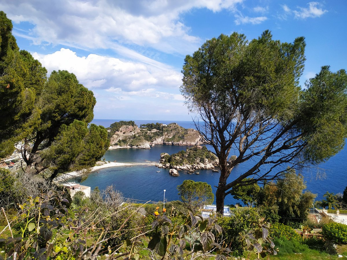 maxine jones tweet media