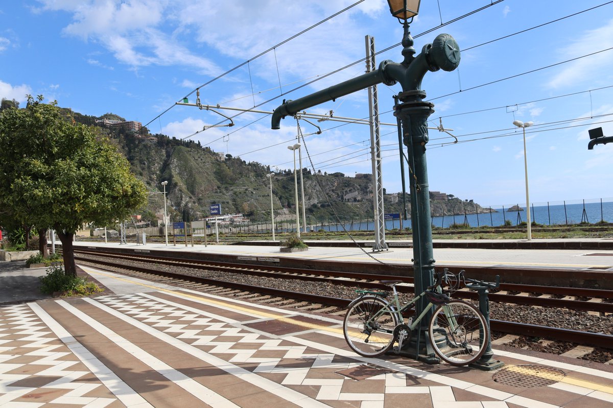 maxine jones tweet media