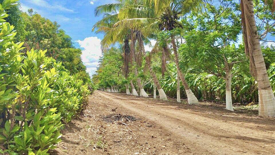 sejosom's tweet photo. Afgooye city of Somalia.
#Afgoye #LowerShabelle #Somalia #BeautifulEnvironment #NaturalResources https://t.co/6ZhkPpdihc