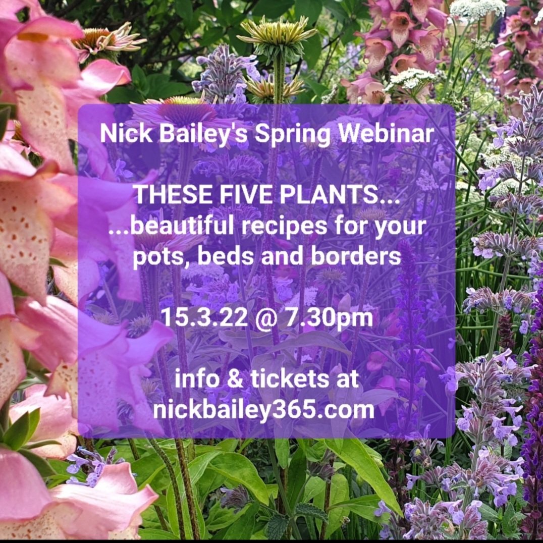 Hey Folks. Tickets now available for my Spring webinar. Hope to see you there. 🙂