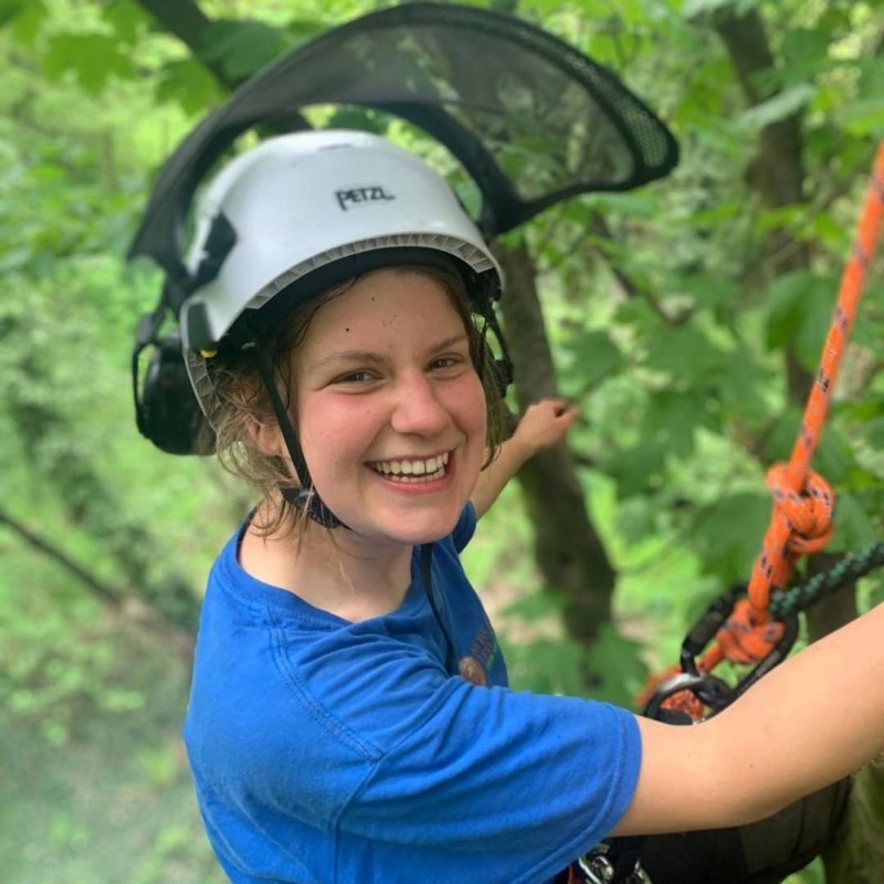 Ncl Tree Services tweet media