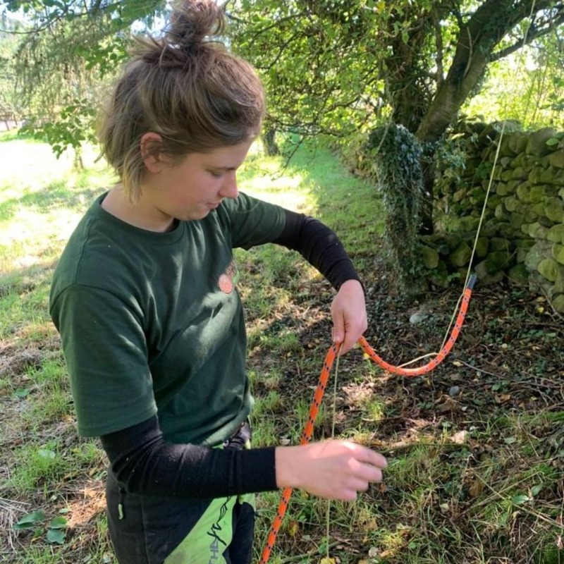 Ncl Tree Services tweet media