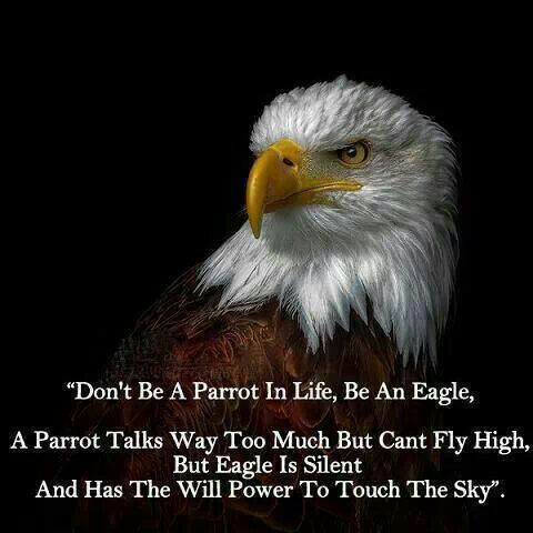 Rodzmer2's tweet image. #NewProfilePic