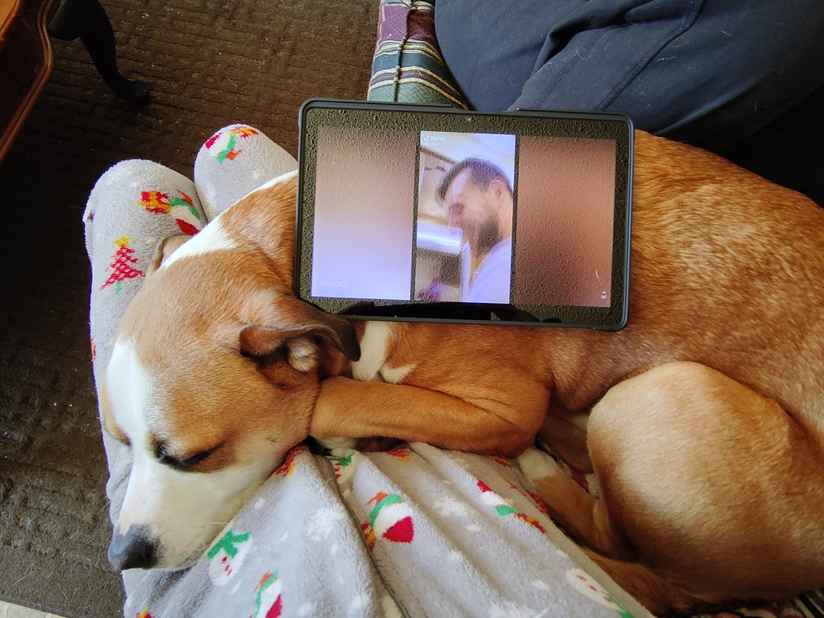 How else do we watch YouTube? #dogsoftwitter #dogs #twitterdogcommunity #woofnottweet #dogtwittercommunity