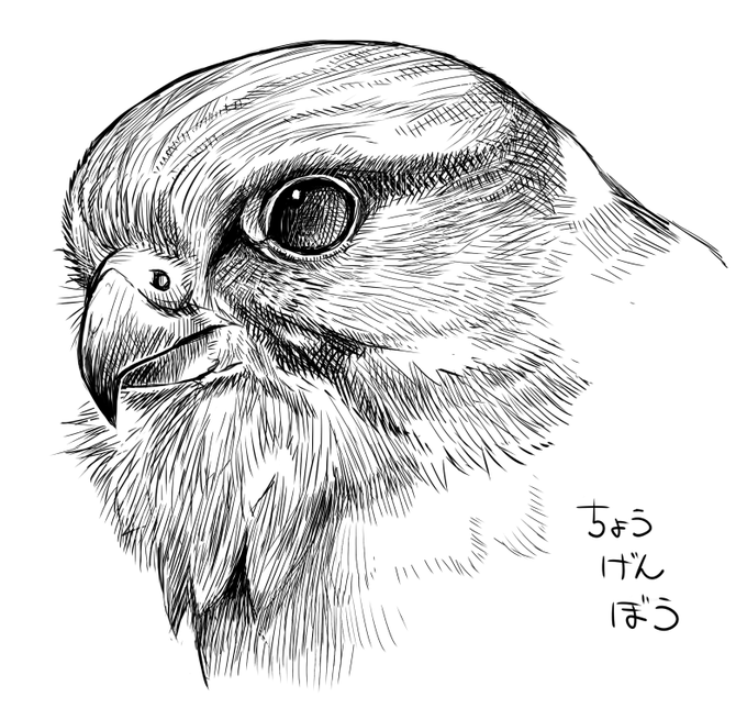 れんしゅう
ちょうげんぼう 