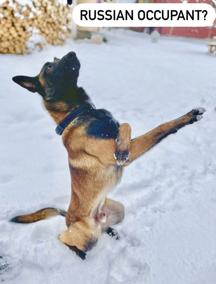 IDorichenko's tweet image. My concise position on #RussianUkrainianWar in one photo