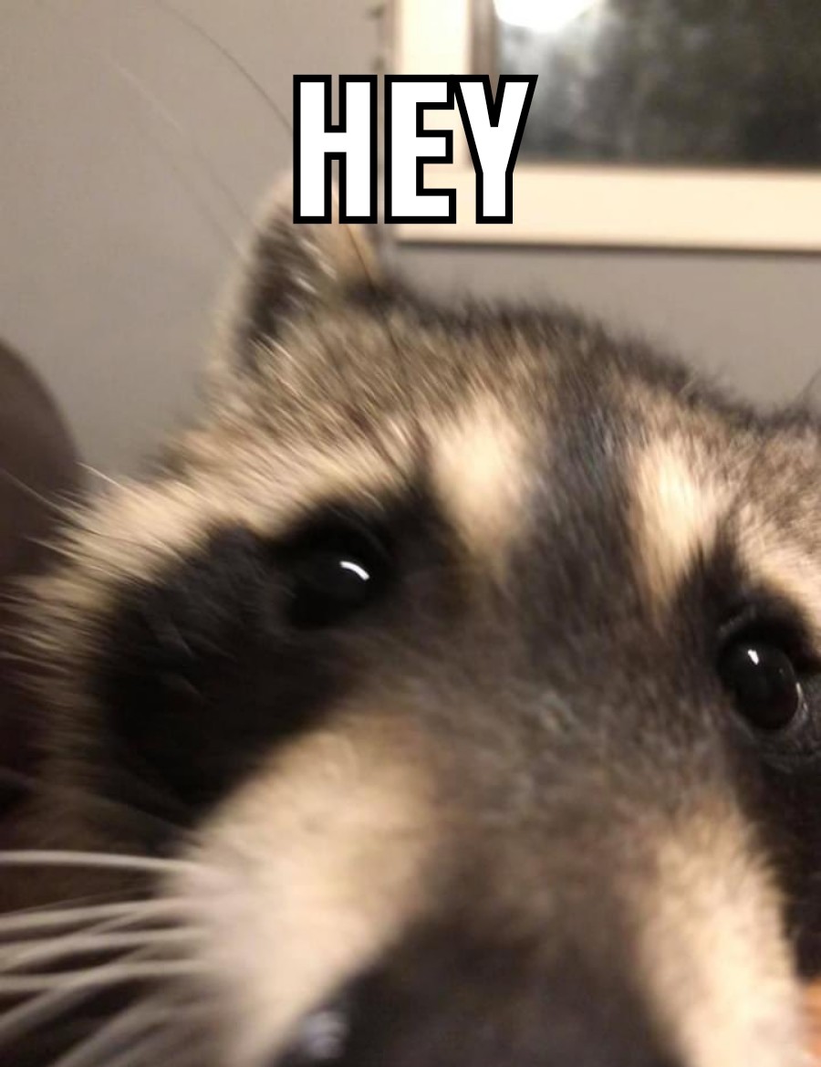 FNP_W_hVUAAbSK2