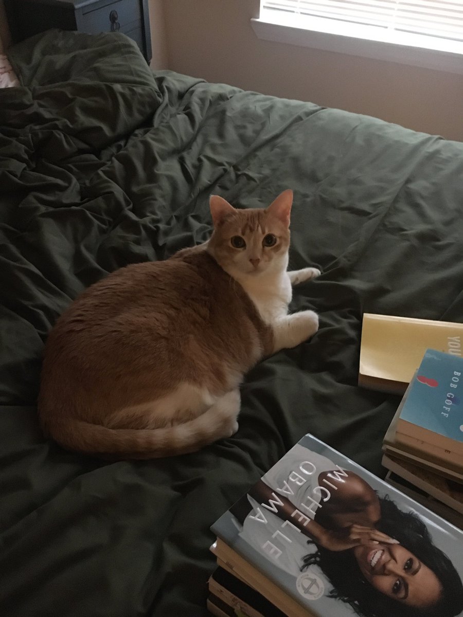 Animals that sell you stuff tweet media