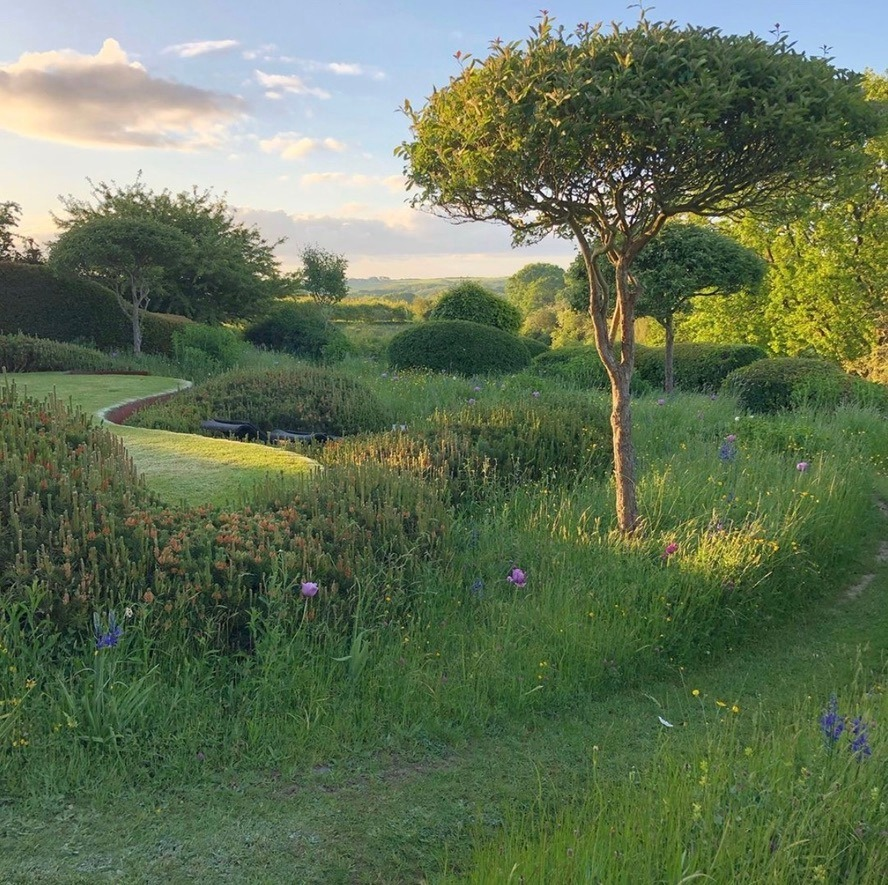 pixts's tweet photo. sussex, england · ph. fairlightendgarden https://t.co/gQg7uEPhOW