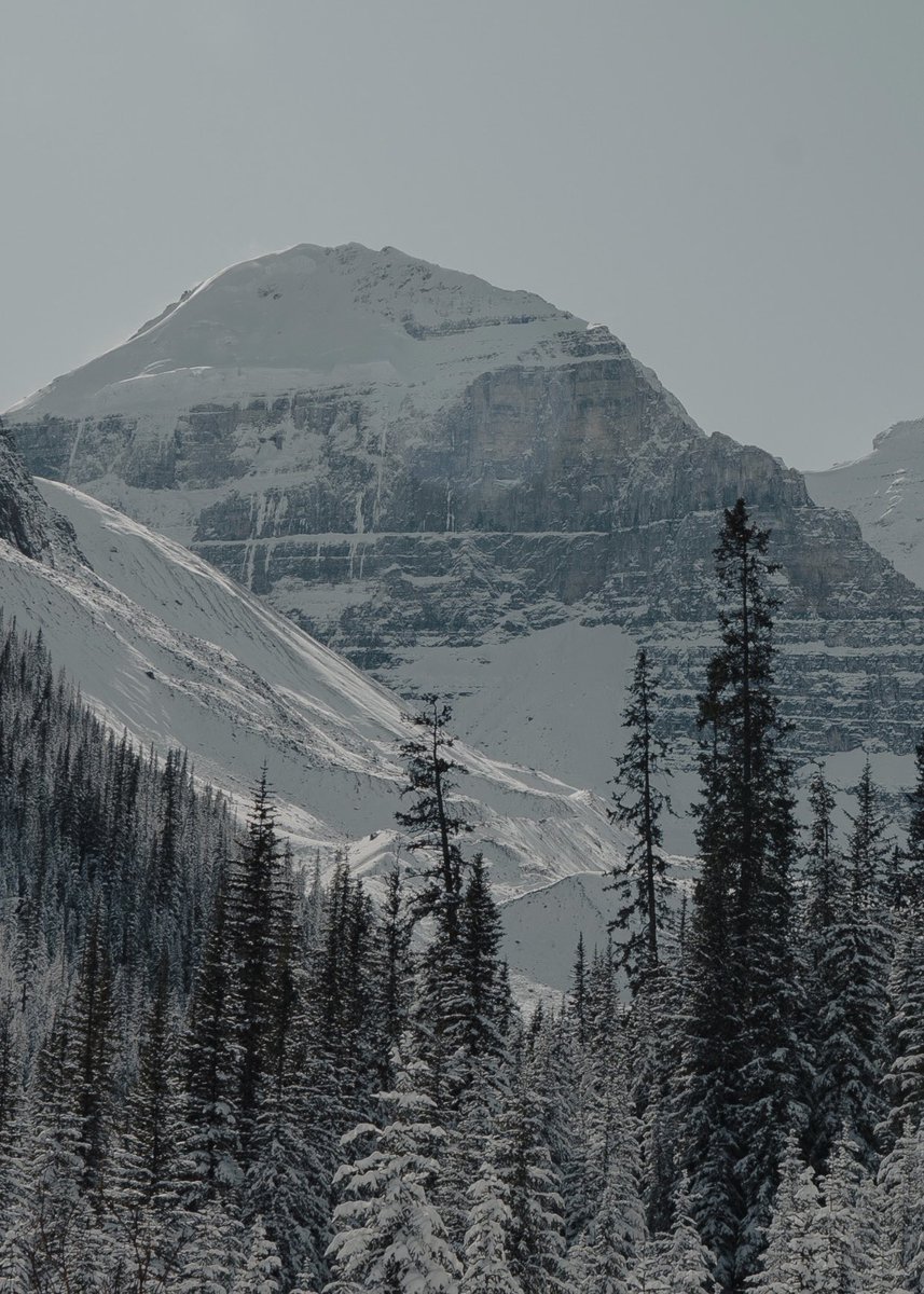 Gm frens!! Rise &amp; shine! ✨